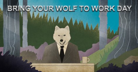 Instructions for using Photoshop for newbies Picture 33