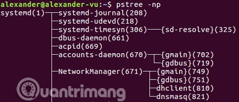 Instructions for using pstree command on Linux Picture 3