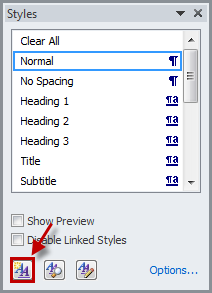 Instructions for using Style in Word Picture 8