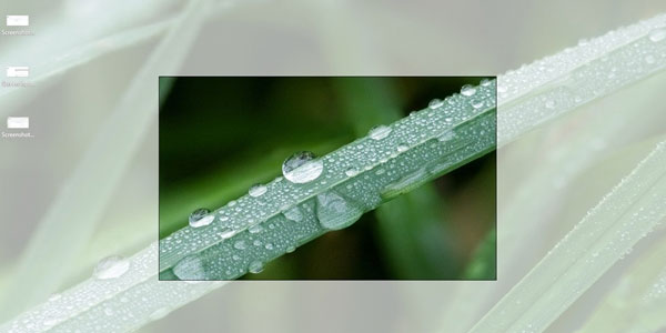 Instructions for using the Screenshot Tool in Microsoft Word 2013 Picture 4