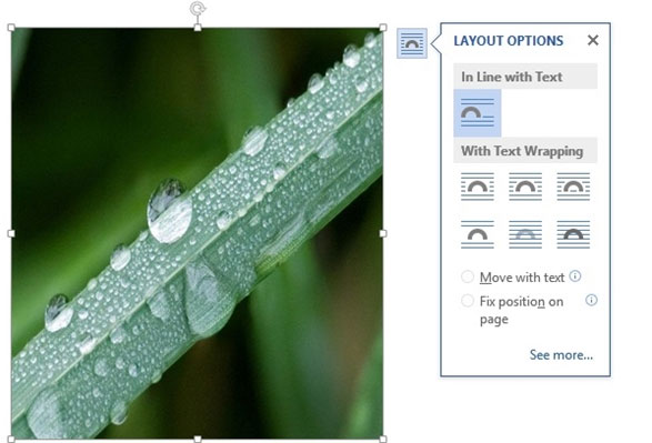 Instructions for using the Screenshot Tool in Microsoft Word 2013 Picture 6