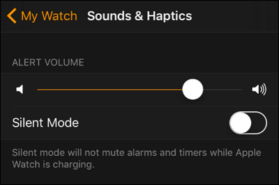 Instructions on how to adjust the volume on the Apple Watch watch Picture 4