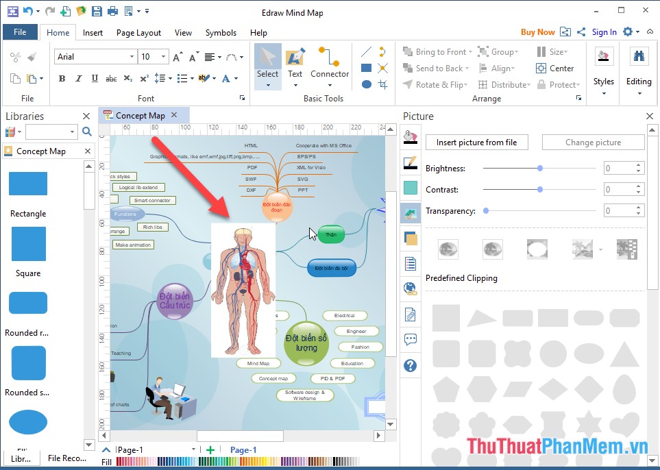 Instructions on how to create a mind map with Edraw Mind Map Picture 7