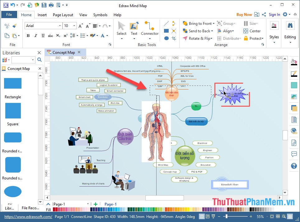 Free Mind Mapping Software Edraw - Safasindian