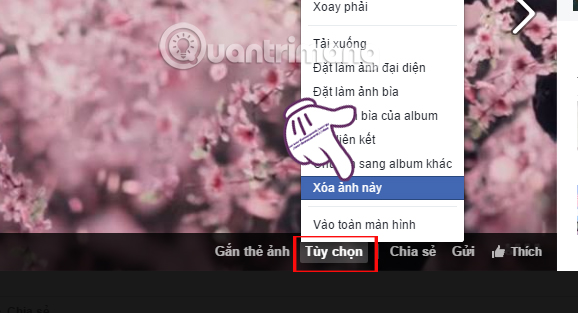 Instructions on how to delete photos on Facebook Picture 4