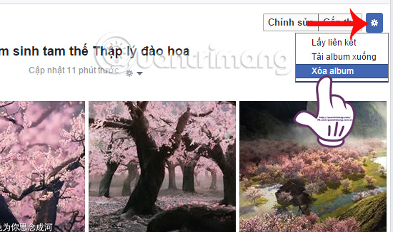 Instructions on how to delete photos on Facebook Picture 5