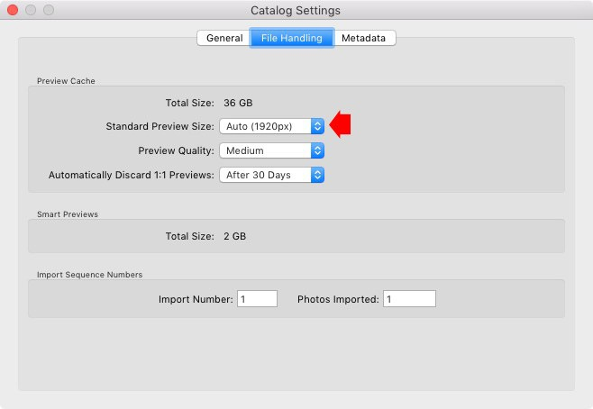 Instructions on how to improve and speed up Lightroom Picture 7