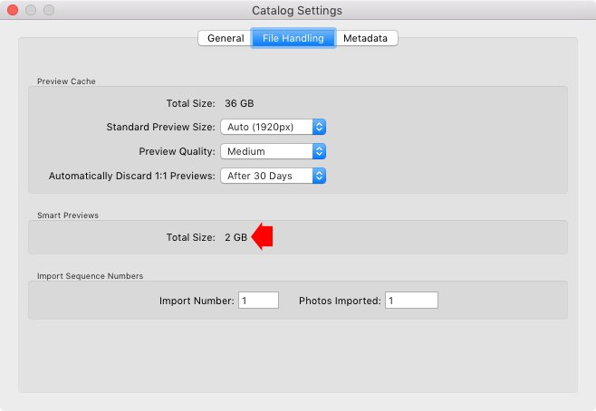 Instructions on how to improve and speed up Lightroom Picture 8