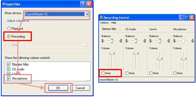 Instructions on how to record a voice with Bandicam Picture 11