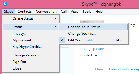 Instructions on how to use Skype for beginners Picture 3