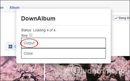 Instructions to download all photo albums on Facebook Picture 5