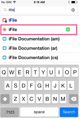 Instructions to install Cuong Tieu Ngu theme for iPhone / iPad Picture 4
