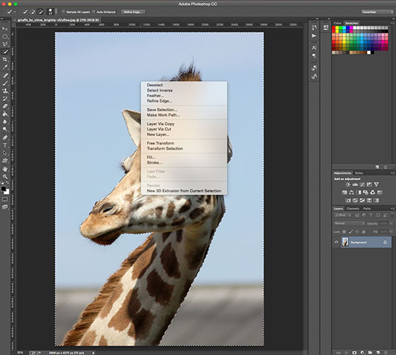 Instructions to separate photos from the background in Photoshop Picture 4