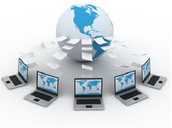 'Insurance' data for businesses Picture 1