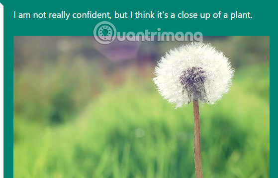 Interpreting image content with Microsoft CaptionBot Picture 6