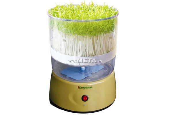 Introducing the top 5 best bean sprouts Picture 6