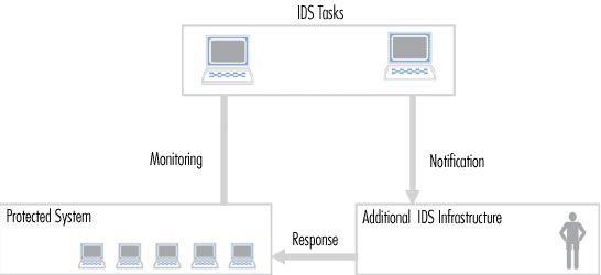Intrusion detection system (IDS) (Part 1) Picture 2