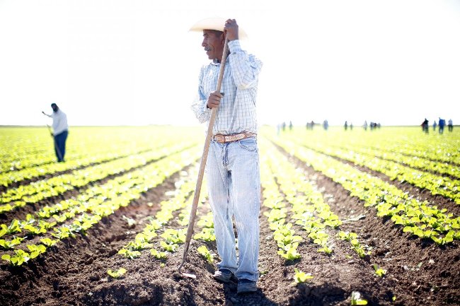 Investing $ 50 million to create a new form of food, this director has extremely different notions Picture 11