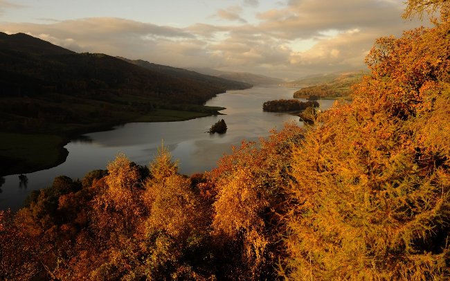 Investing $ 50 million to create a new form of food, this director has extremely different notions Picture 3