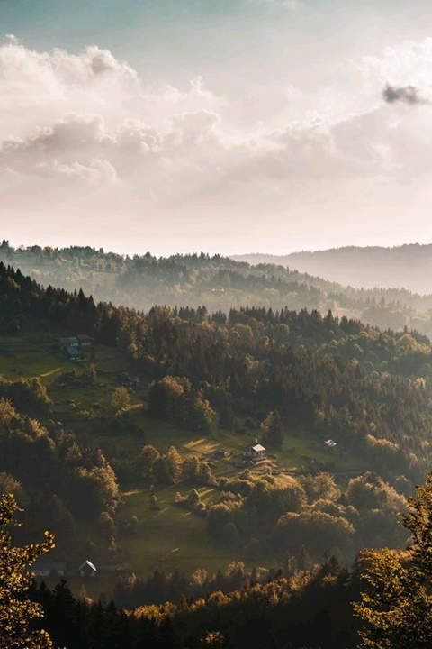 Invite to download WallPix, application download wallpaper worth 162,000 VND, being free Picture 10