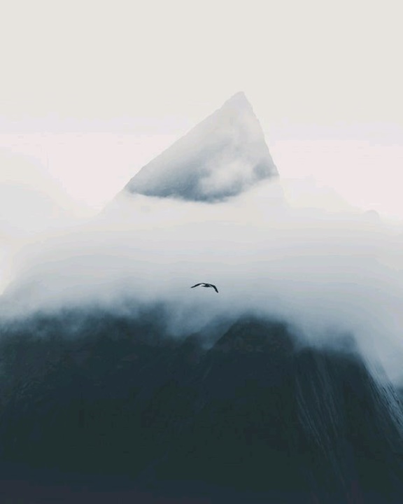 Invite to download WallPix, application download wallpaper worth 162,000 VND, being free Picture 14