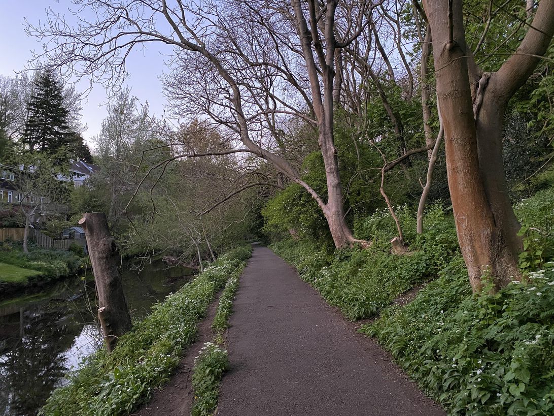 iPhone 11 Pro has an unlikely rival in this 7-year-old phone Picture 32