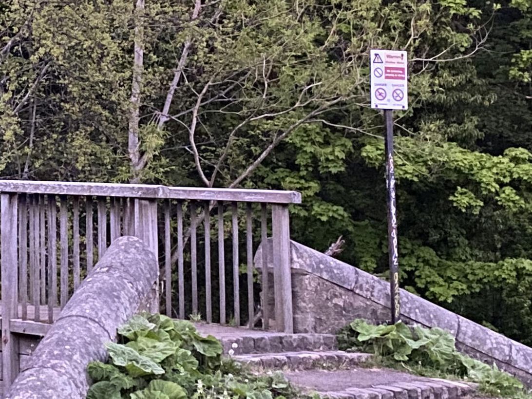 iPhone 11 Pro has an unlikely rival in this 7-year-old phone Picture 40