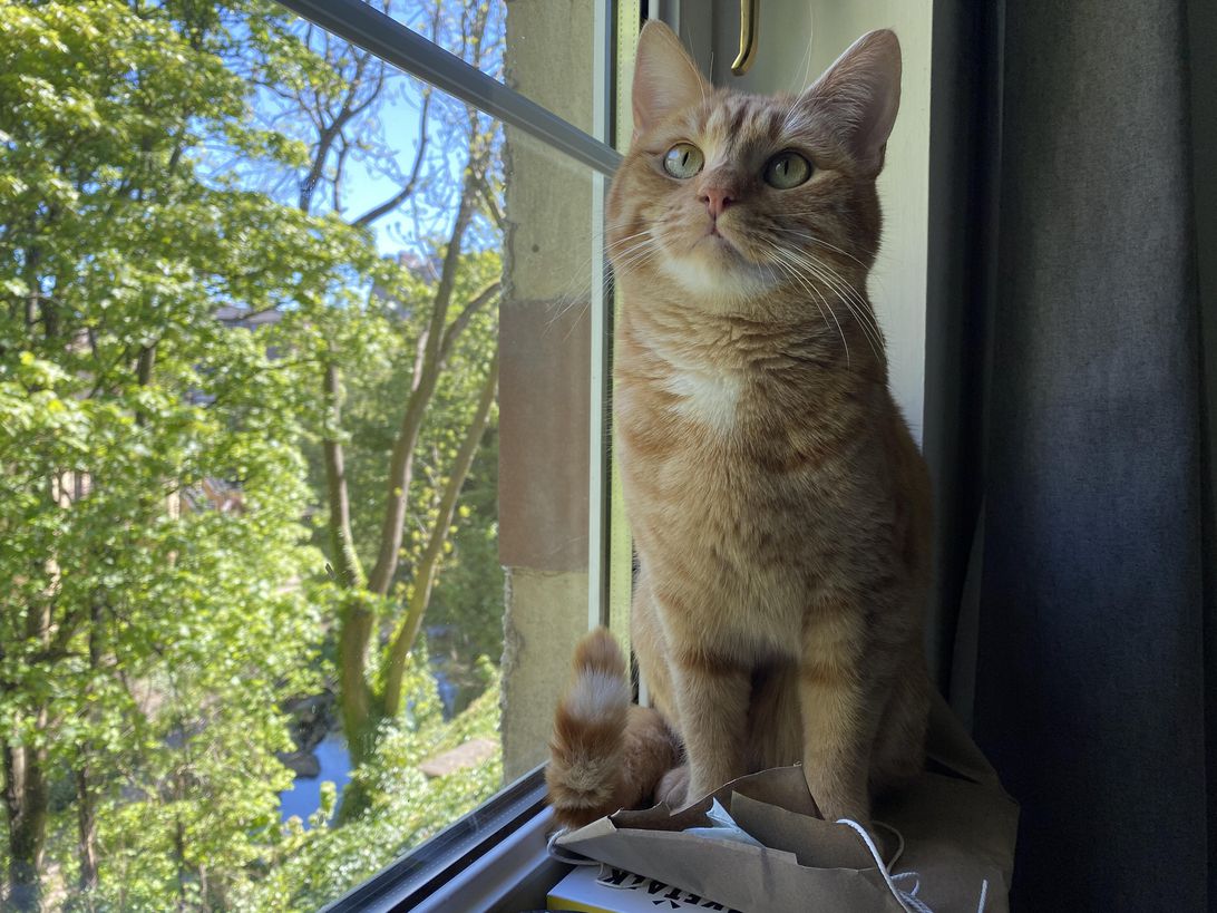 iPhone 11 Pro has an unlikely rival in this 7-year-old phone Picture 44