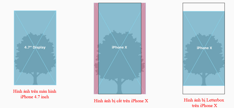 IPhone screen X: Size and special features Picture 6