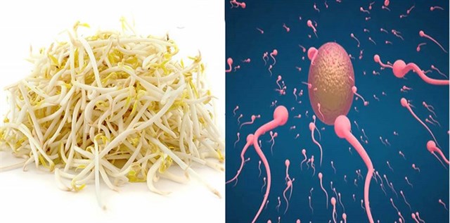 Is eating bean sprouts good? The effect of bean sprouts for men? Picture 3