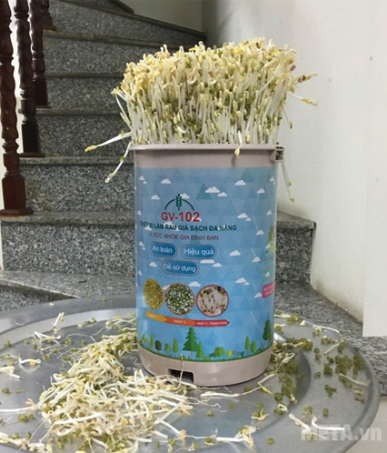 Is eating bean sprouts good? The effect of bean sprouts for men? Picture 4