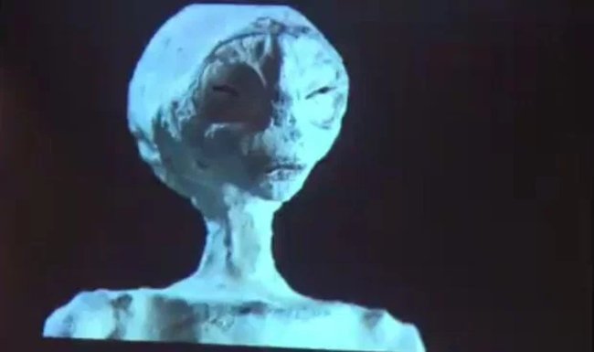 Is the 'alien skeleton' found in Peru true? Picture 2