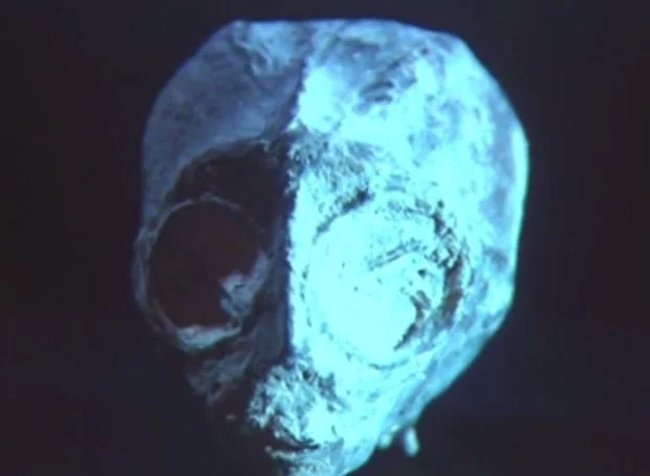Is the 'alien skeleton' found in Peru true? Picture 6