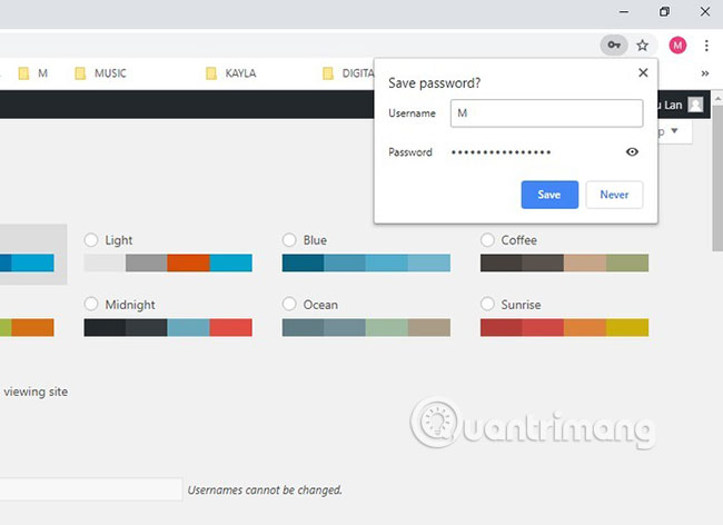 Is the password manager on the browser secure enough? Picture 3