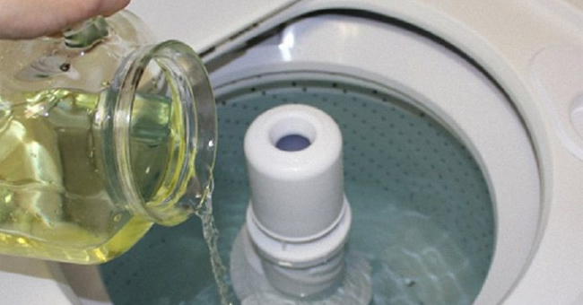 It is not difficult to remove unpleasant odors in the washing machine Picture 2