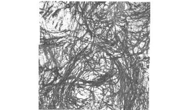 It took 1700 hours to describe the brain of 'fruit flies' in 3D Picture 3