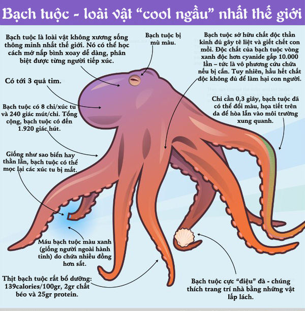 It turned out that the octopus gave up its ability to evolve to become smarter Picture 3