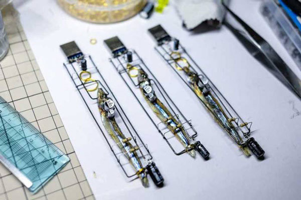 Japanese students take whole fish as USB, use fish brain to save data but can only make scenes Picture 3