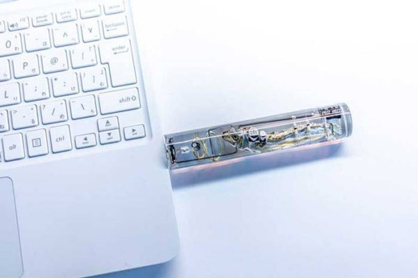 Japanese students take whole fish as USB, use fish brain to save data but can only make scenes Picture 4