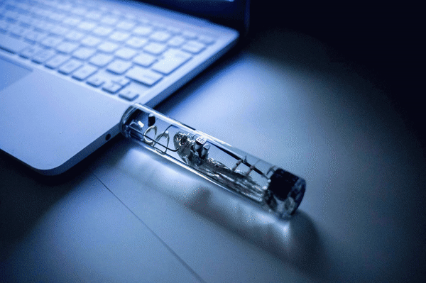 Japanese students take whole fish as USB, use fish brain to save data but can only make scenes Picture 5