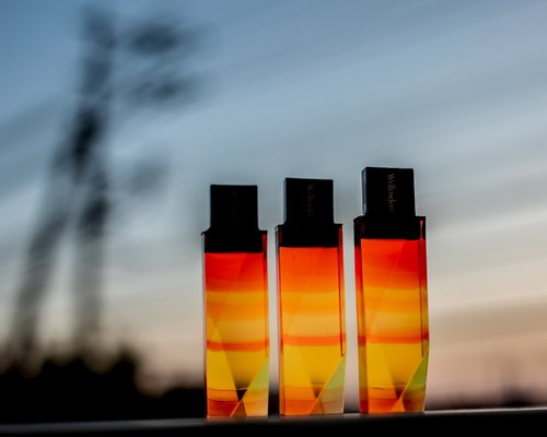 Japanese students take whole fish as USB, use fish brain to save data but can only make scenes Picture 6