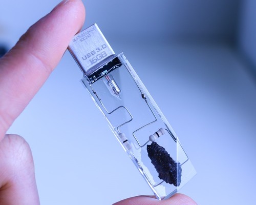 Japanese students take whole fish as USB, use fish brain to save data but can only make scenes Picture 7