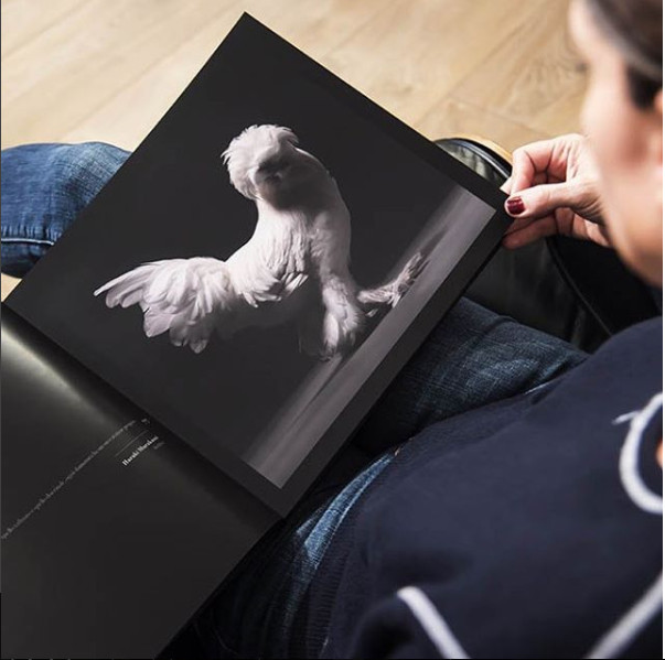 Just a chicken but a good camera, a good photographer is still beautiful Picture 11