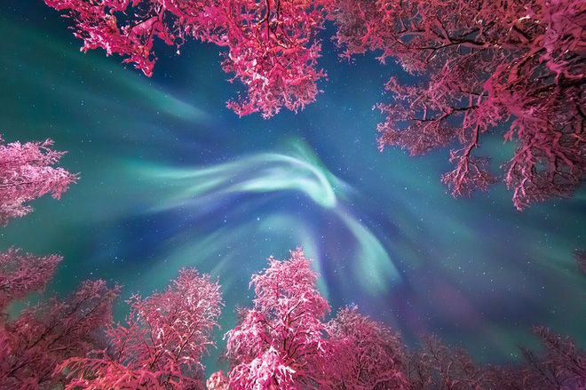 Label with the best astronomical images in 2017 Picture 2