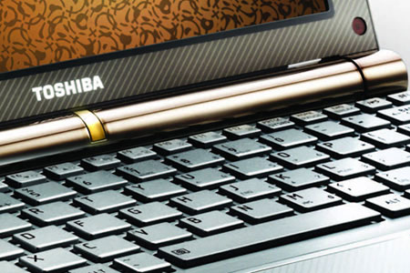 Laptop mini NB200 - Toshiba's 'new artwork' Picture 6