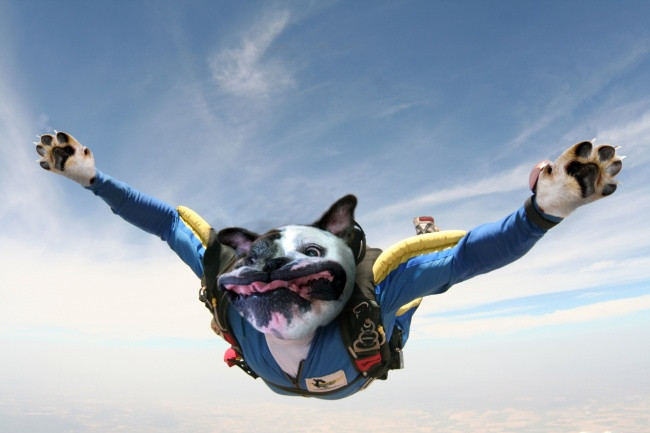 'Laughing does not shut up' with 23 photos falling into the hands of photoshop workers without mind Picture 15