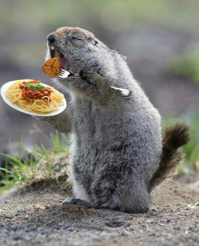 'Laughing does not shut up' with 23 photos falling into the hands of photoshop workers without mind Picture 6