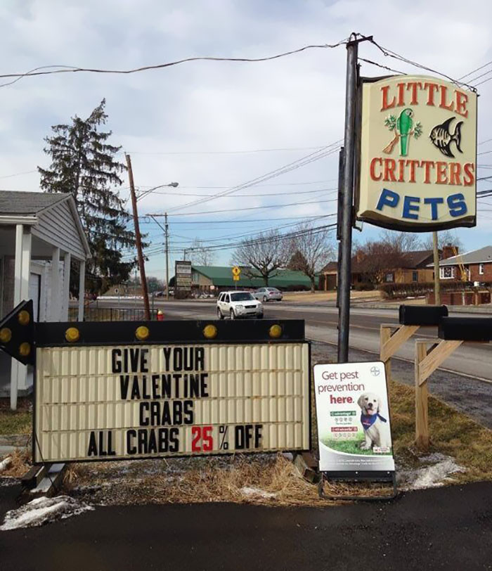 Laughing out the navel with 15+ failed designs on Valentine's Day! Picture 15