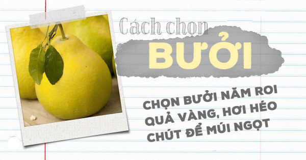 Layout and meaning of five fruits tray in three regions Picture 11