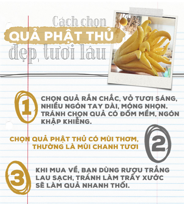 Layout and meaning of five fruits tray in three regions Picture 12